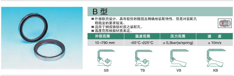 NAK旋转油封B型.jpg