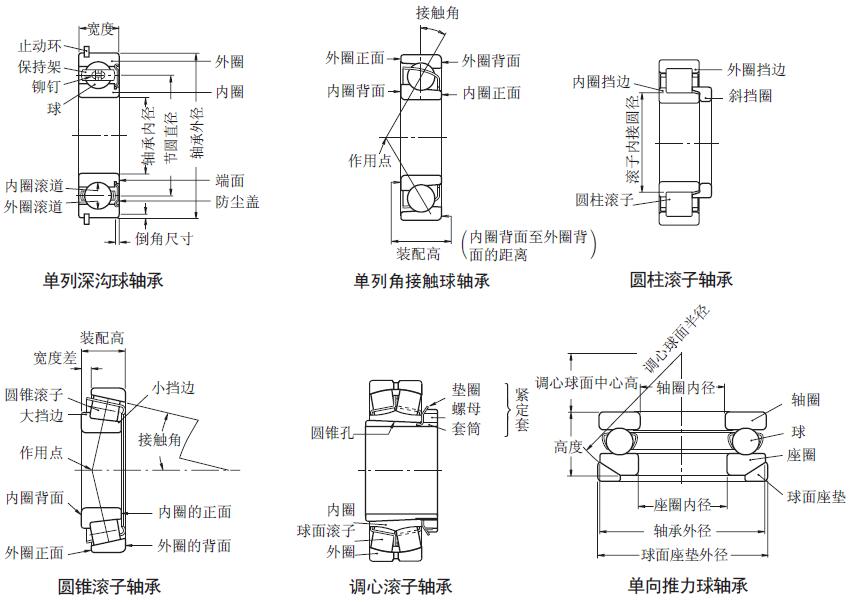 轴承名称图片